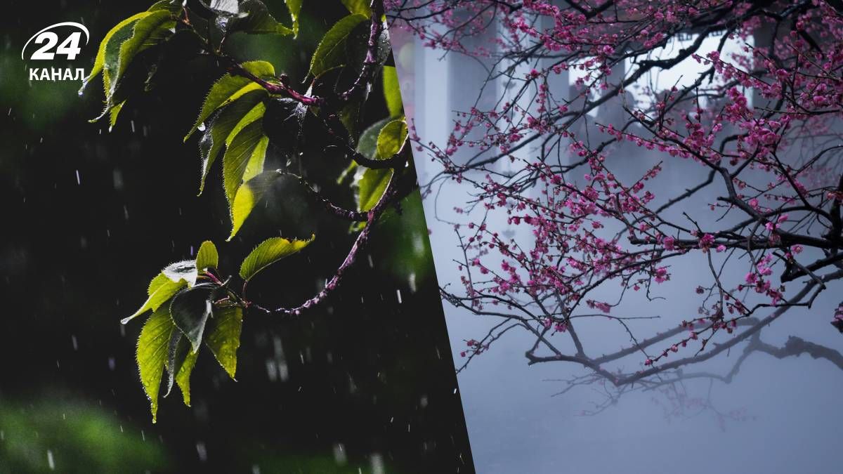 Прогноз погоды в Украине на 27 марта 2026 года