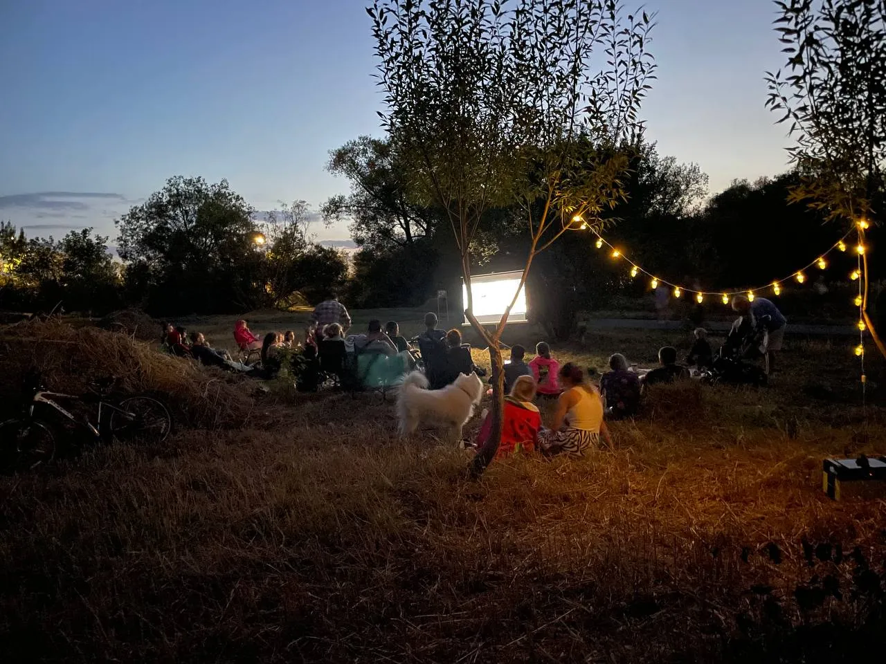 просмотр фильма под открытым небом