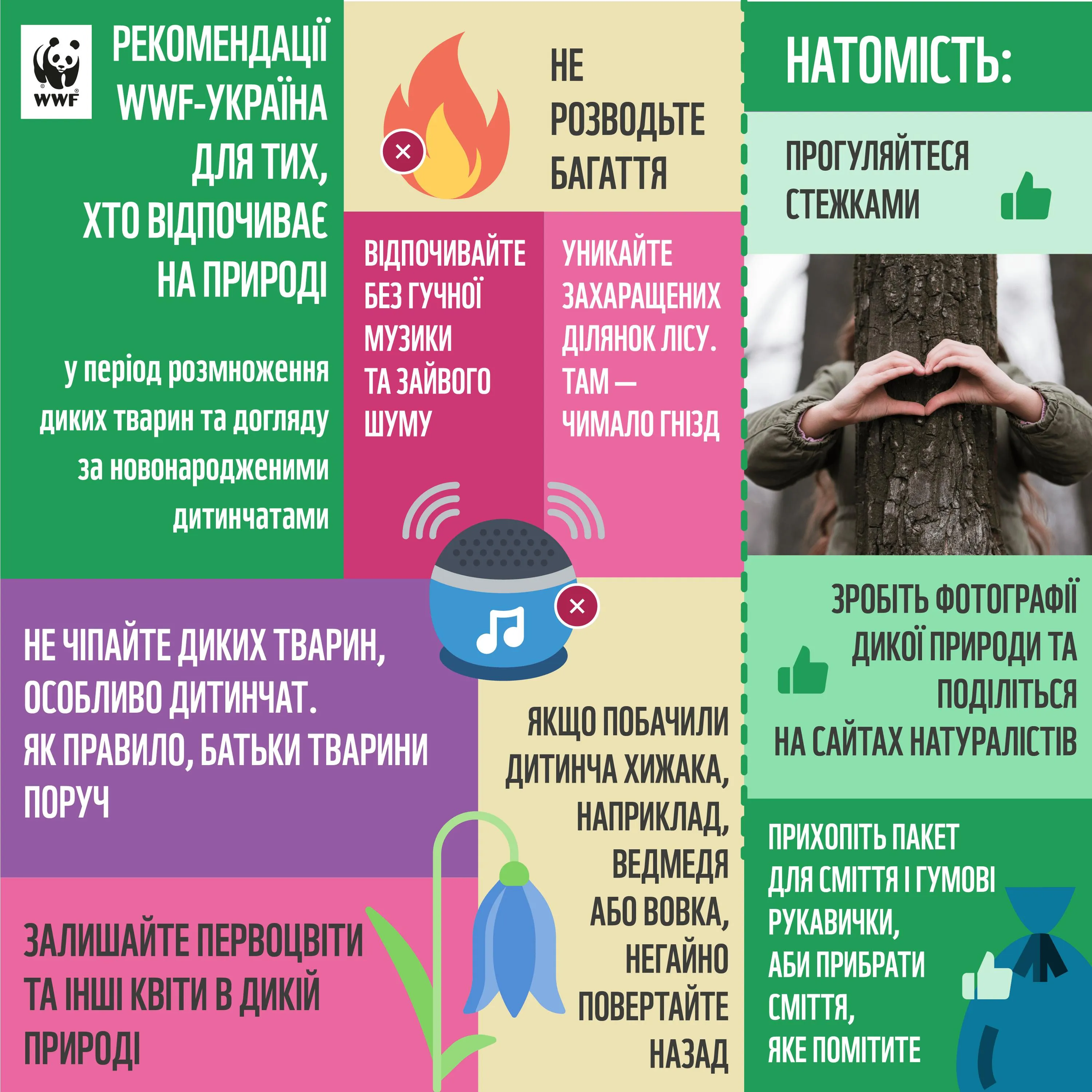 Сезон тиші 2026 в Україні - що не можна робити на природі - рекомендації WWF