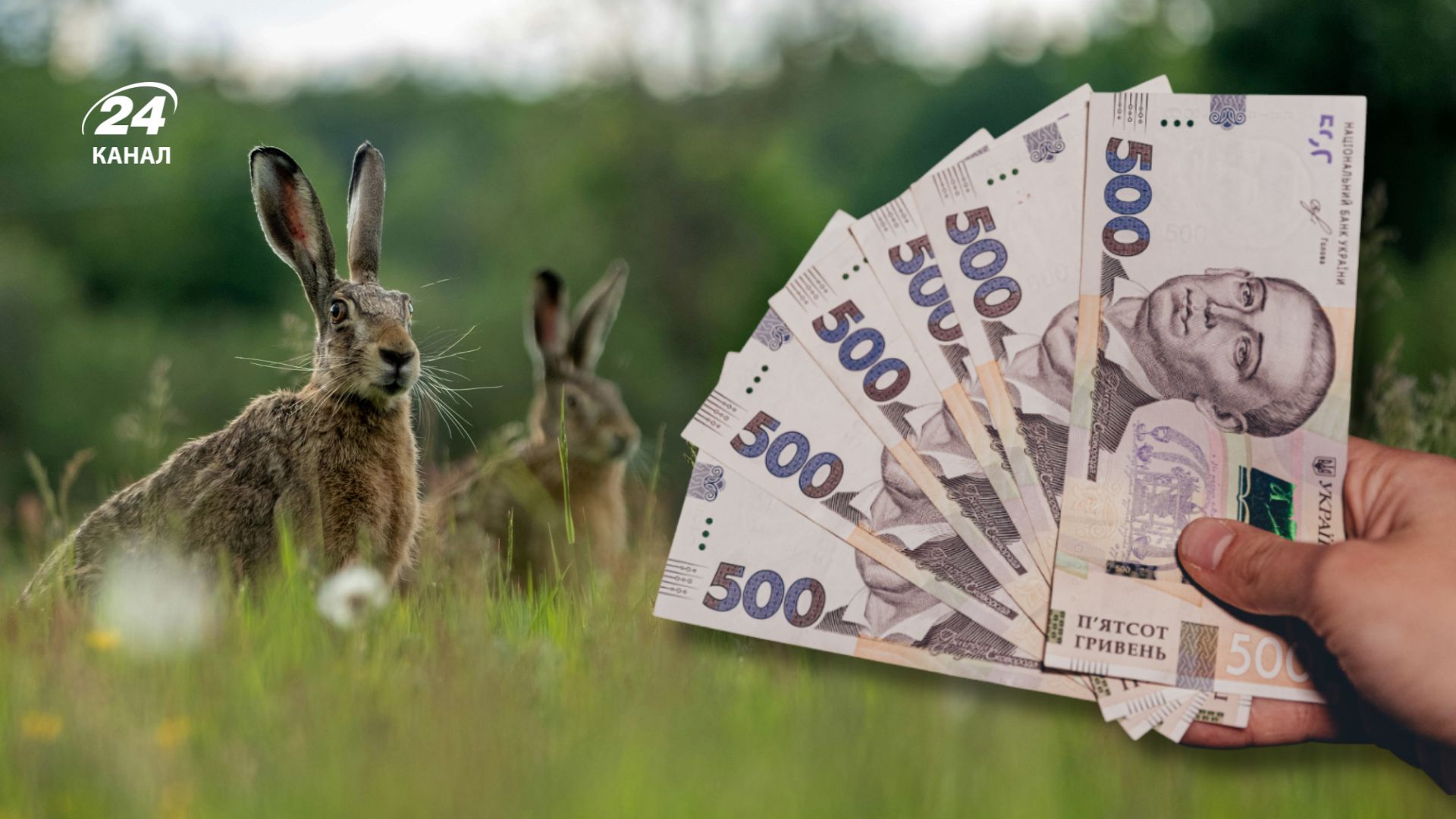 Какие есть правила "сезона тишины" в Украине