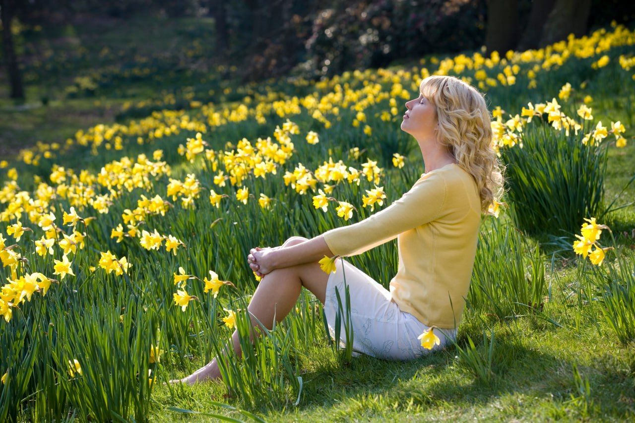 Коли найкраще їхати до Нідерландів, щоб побачити гіацинти та нарциси