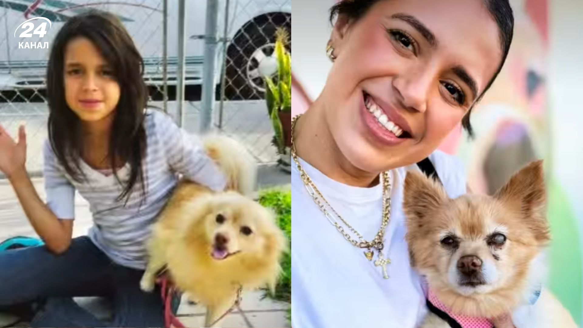 Історія повернення собаки через 12 років після зникнення