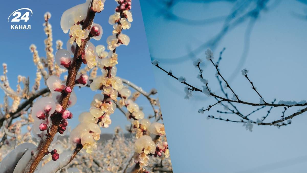 Похолодання в Україні Похолодання в Україні