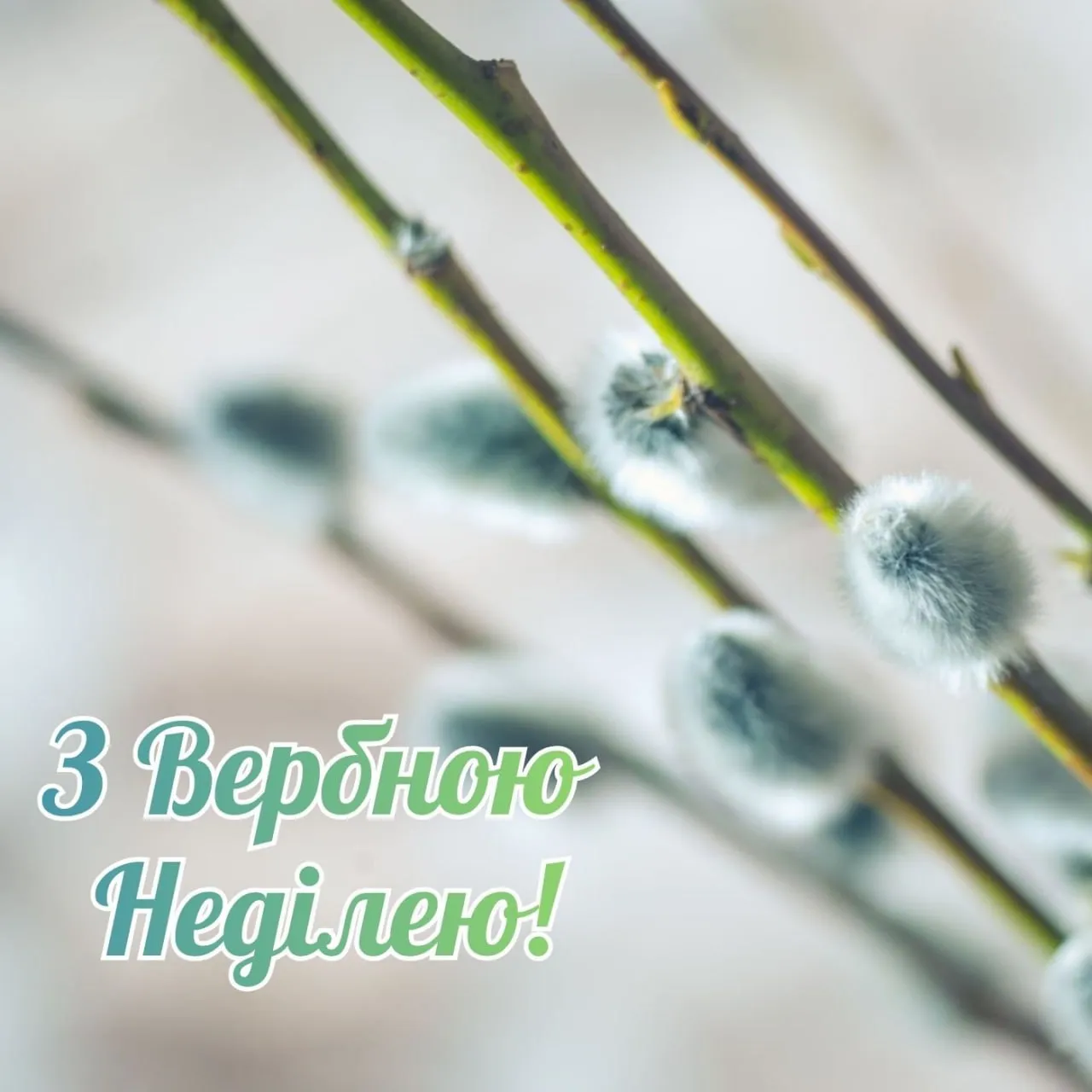 Привітання з Вербною неділею 2026 