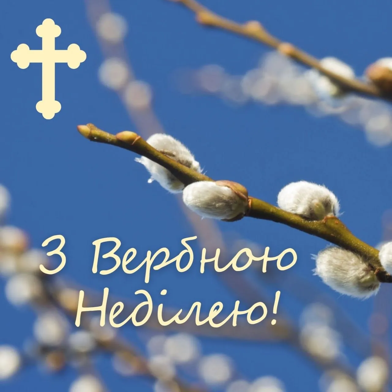 Привітання з Вербною неділею 2026 Привітання з Вербною неділею 2026