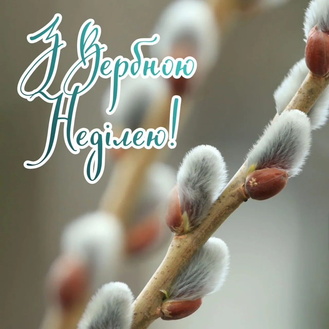 Поздравления с Вербным воскресеньем 2026