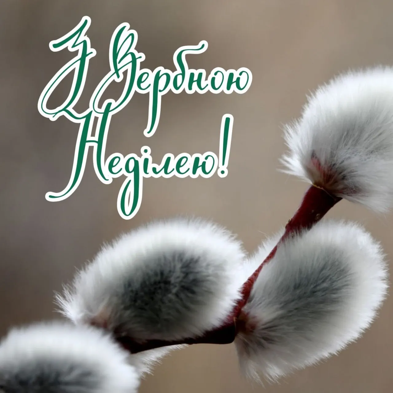 Поздравления с Вербным воскресеньем 2026