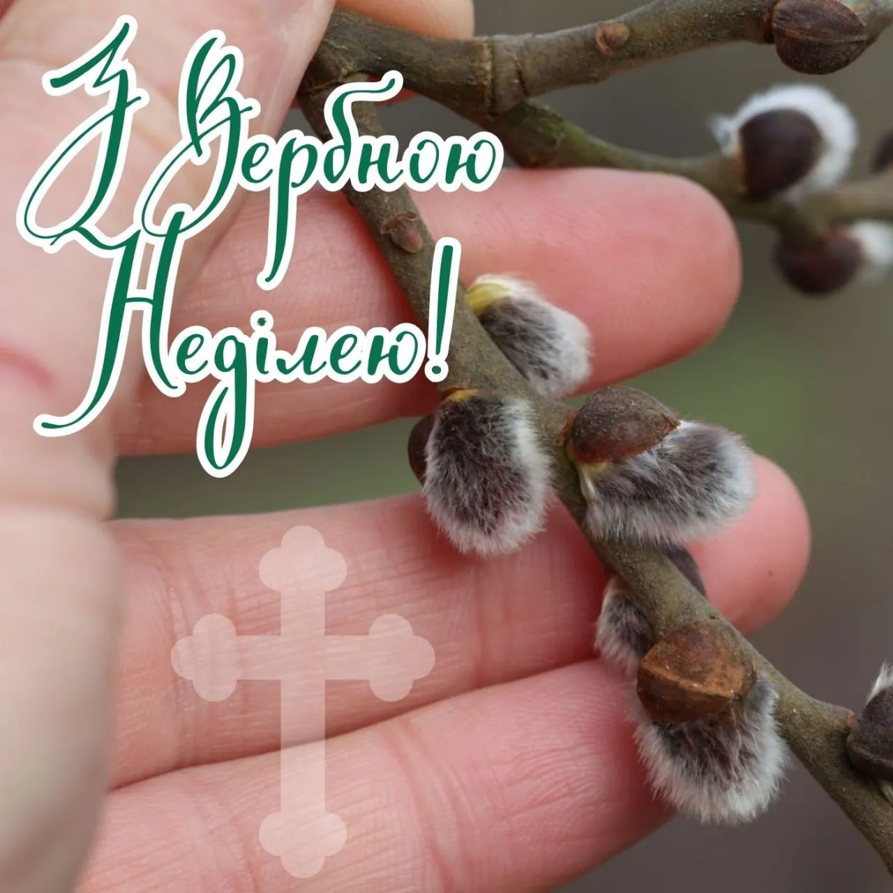 Поздравления с Вербным воскресеньем 2026