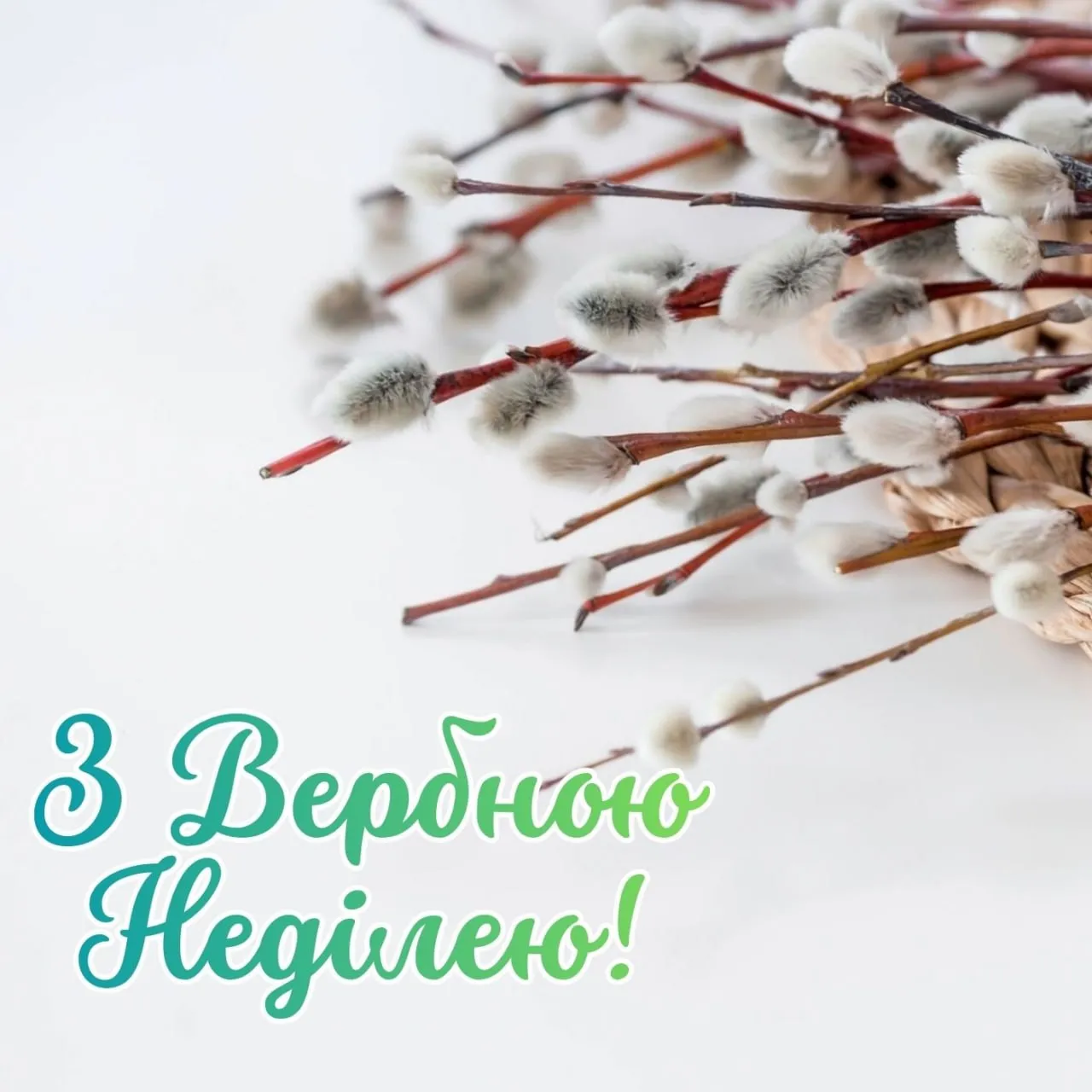 Поздравления с Вербным воскресеньем 2026