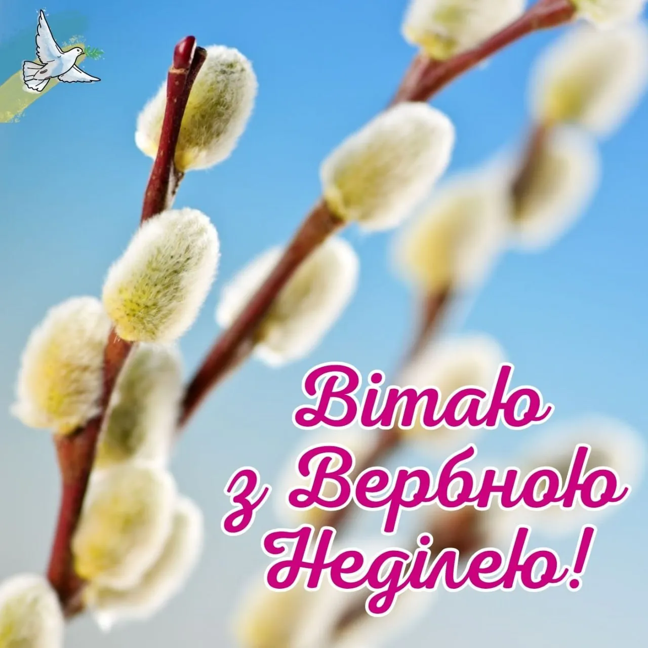 Поздравления с Вербным воскресеньем 2026