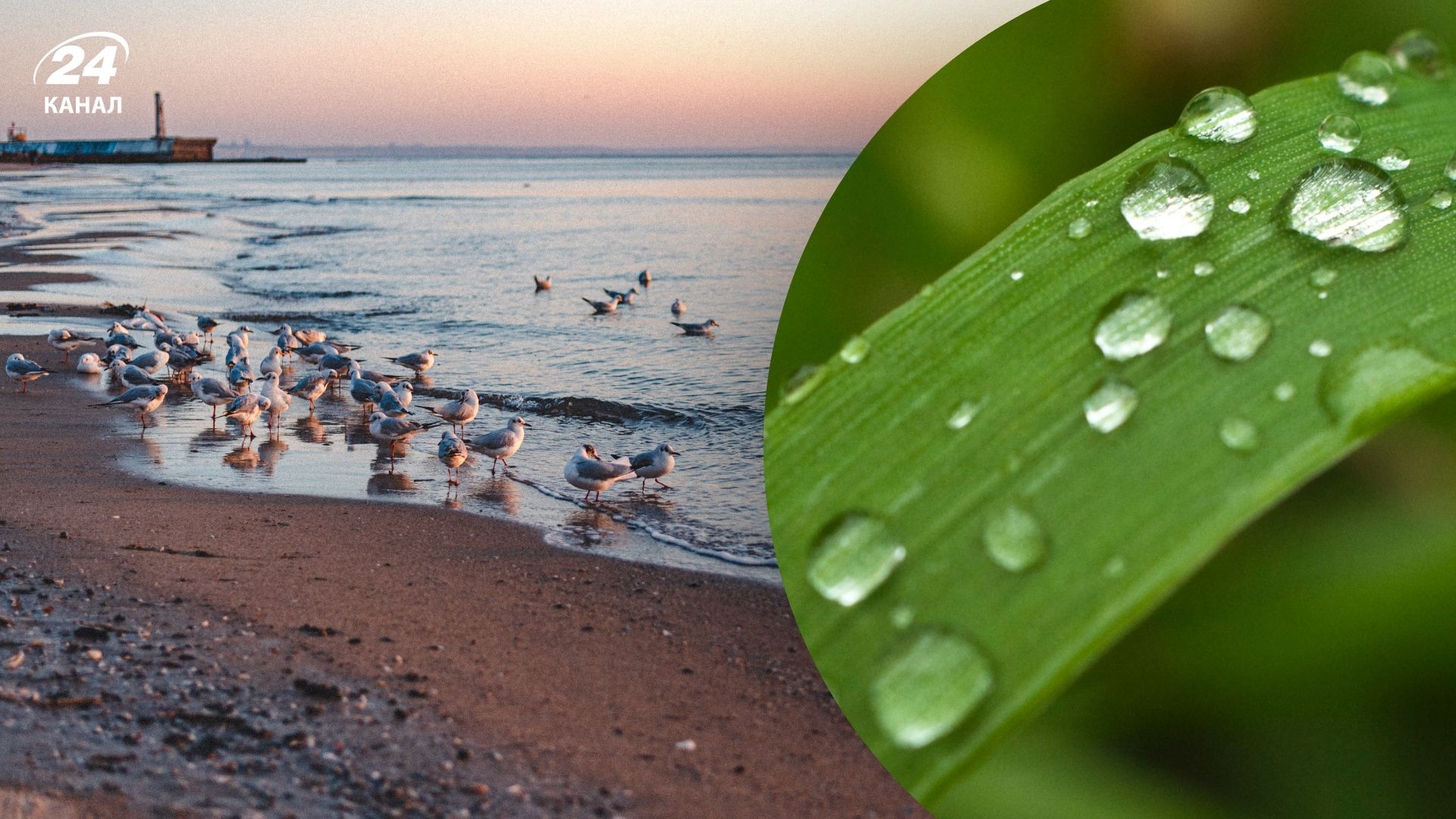 Погода на 29 марта - 24 Канал Погода на 29 марта - 24 Канал