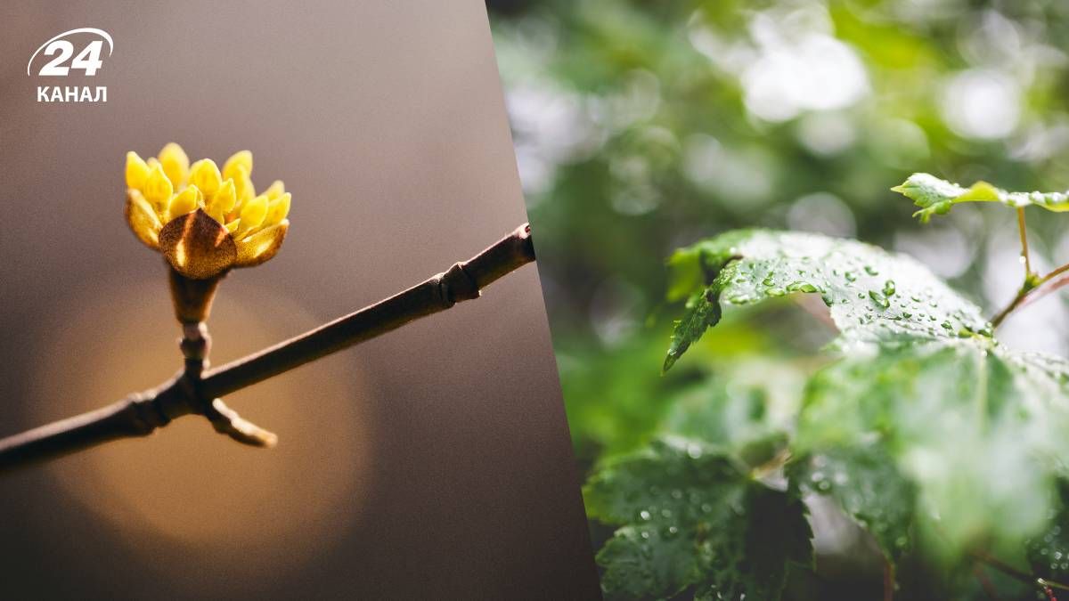 Прогноз погоды в Украине