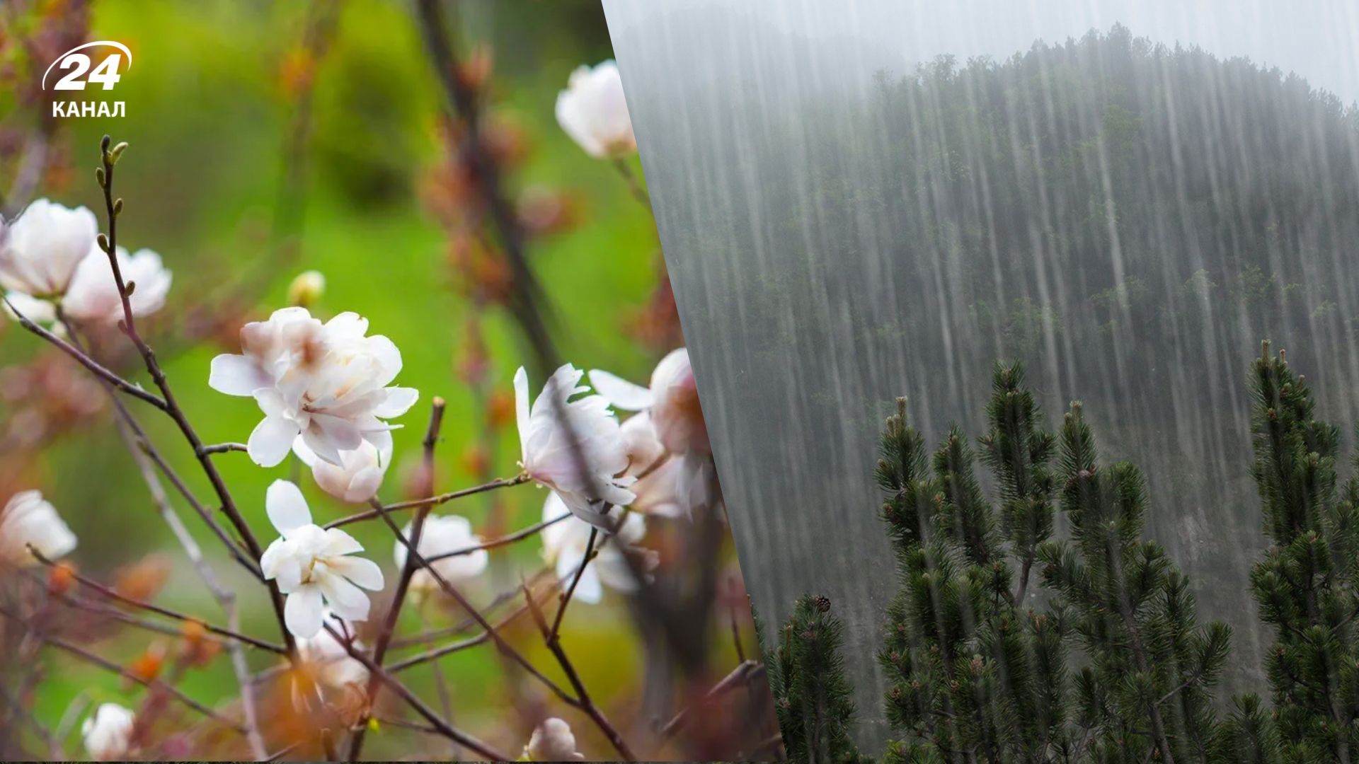 Погода на неделю в Украине на неделю Погода на неделю в Украине на неделю