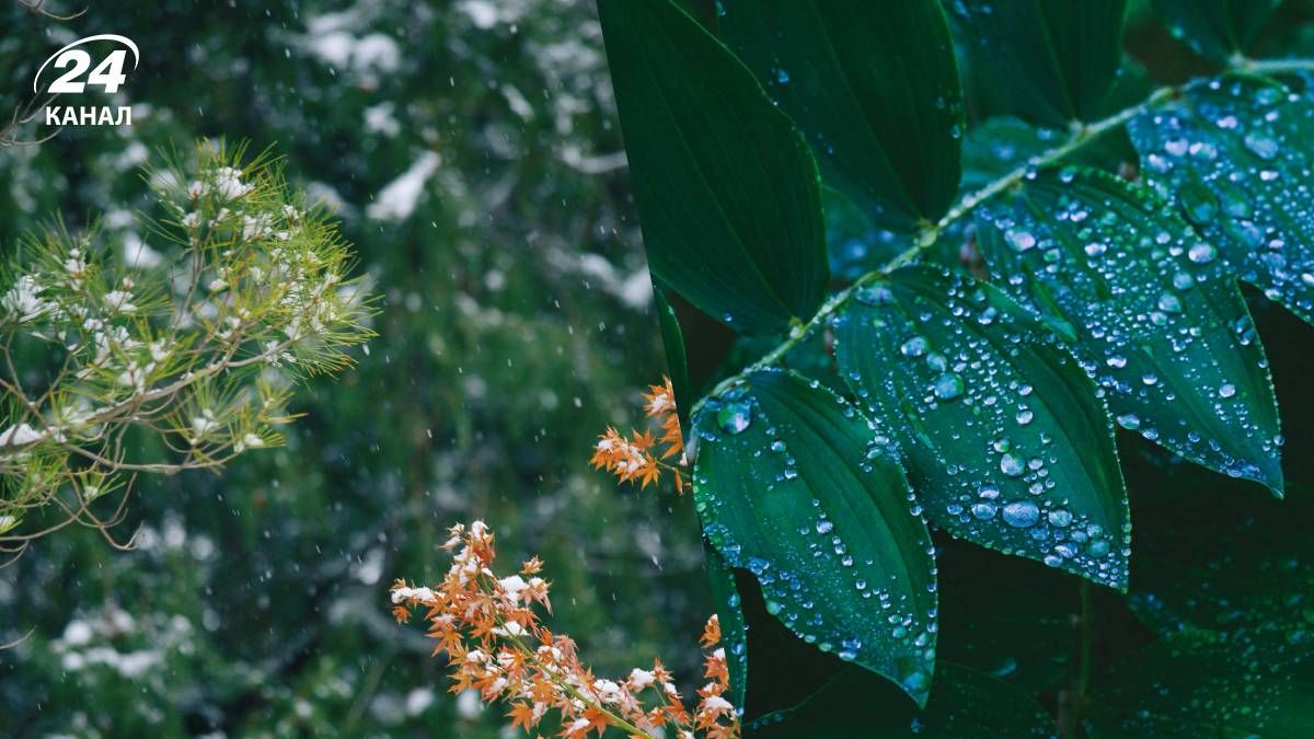 Погода в Украине Погода в Украине