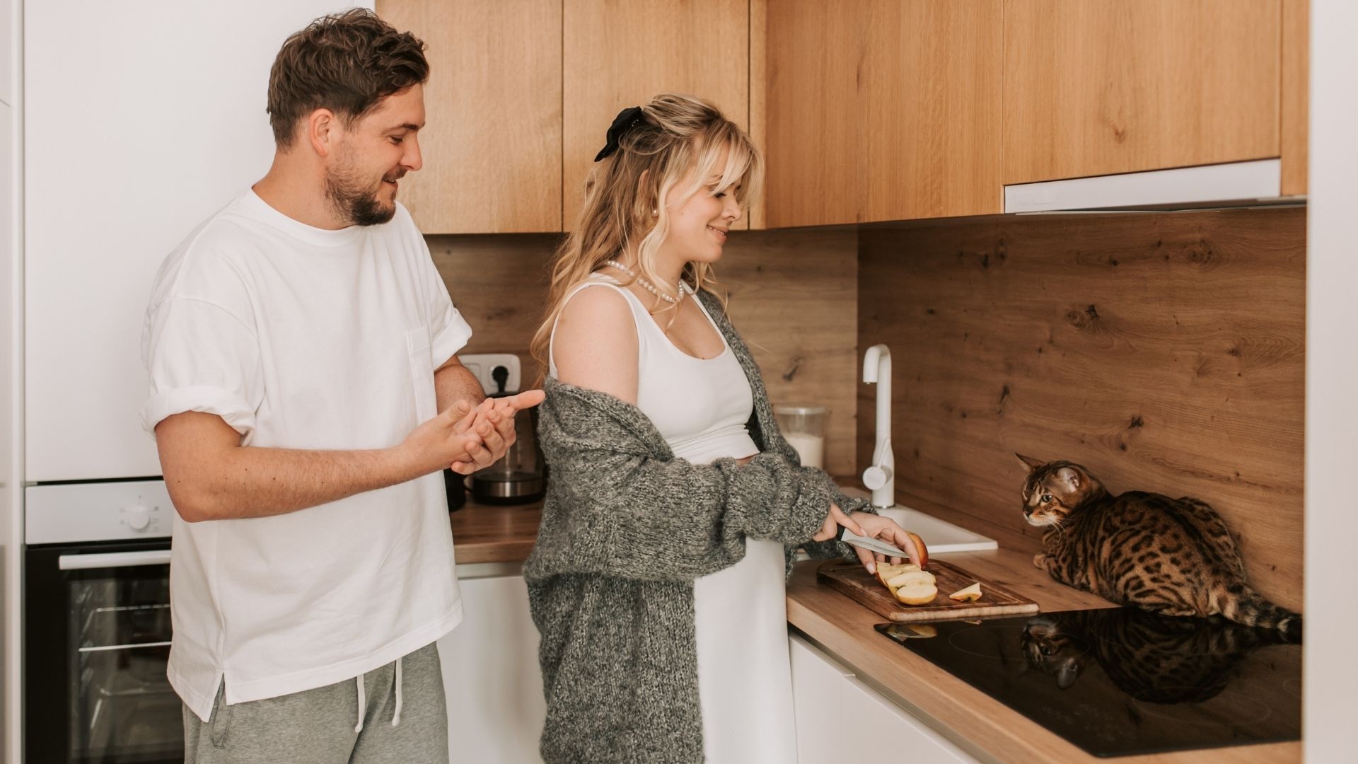 Як правильно відучити кота від стільниці без стресу