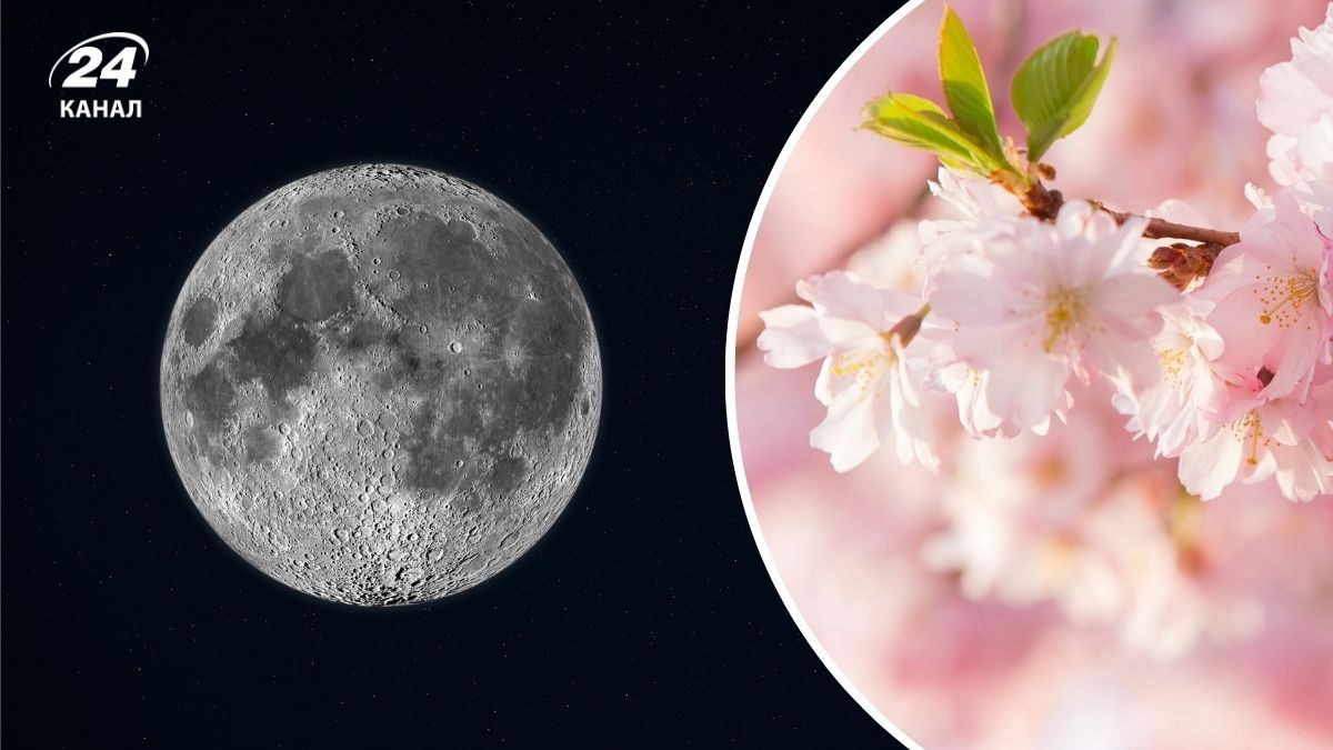 Полнолуние 1 апреля: во сколько взойдет "Розовая Луна" Полнолуние 1 апреля: во сколько взойдет "Розовая Луна"