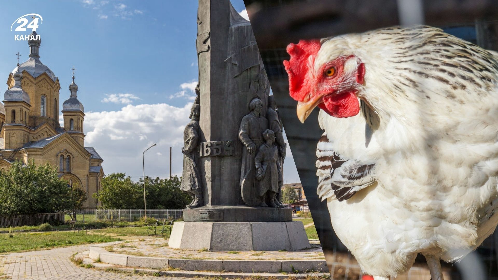 Курица в Переяславе Курица в Переяславе