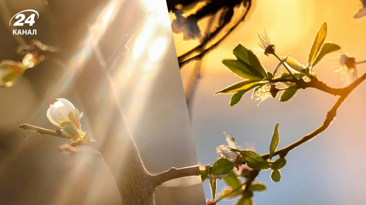 Погода может улучшиться на следующей неделе Погода может улучшиться на следующей неделе