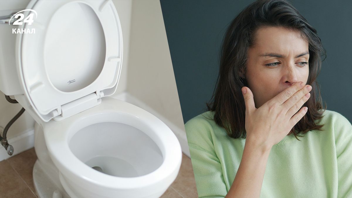Почему в туалете пахнет канализацией - самые распространенные причины Почему в туалете пахнет канализацией - самые распространенные причины