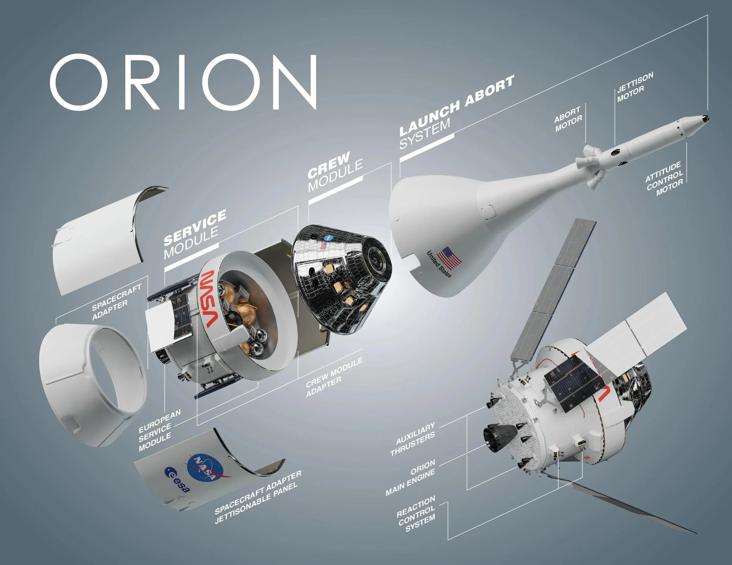 Orion Orion