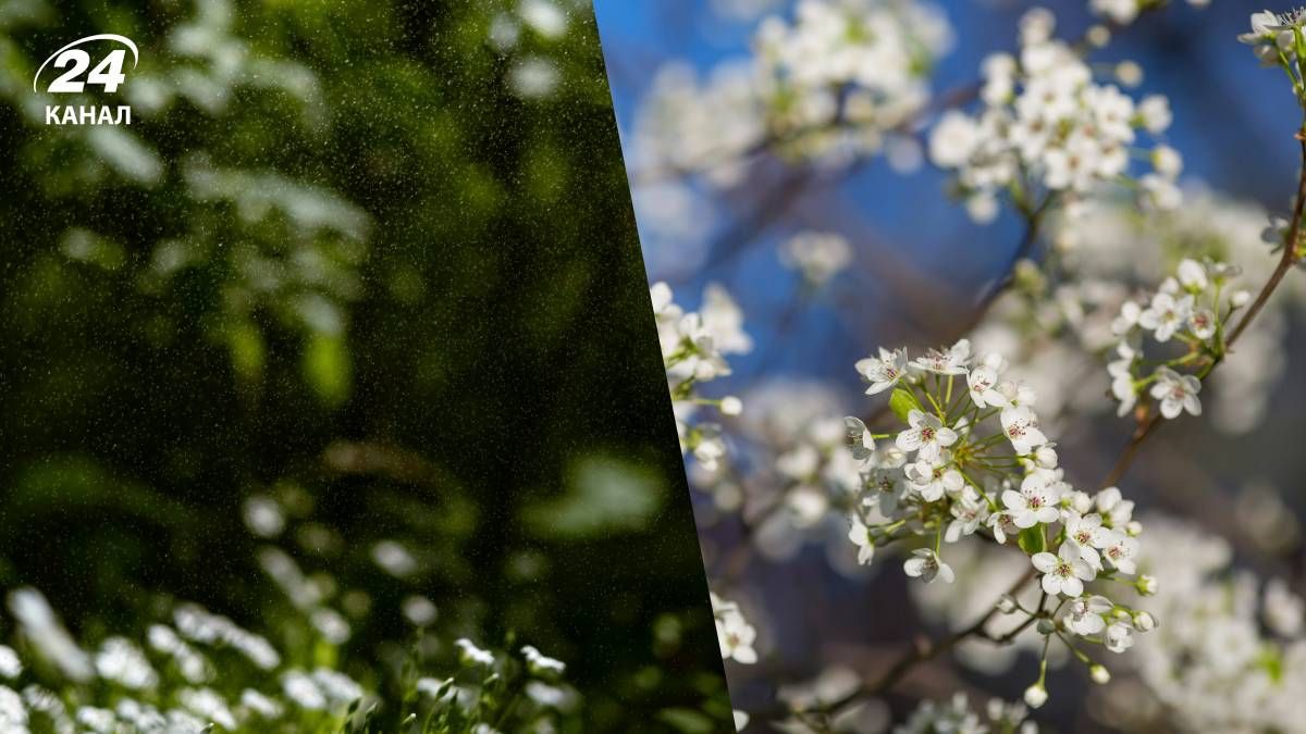 Погода в Украине на ближайшие дни на ближайшие дни Погода в Украине на ближайшие дни на ближайшие дни