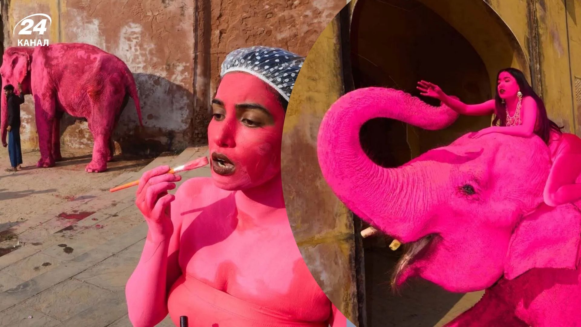 Умерла слониха, которую россиянка раскрасила в розовый цвет Умерла слониха, которую россиянка раскрасила в розовый цвет