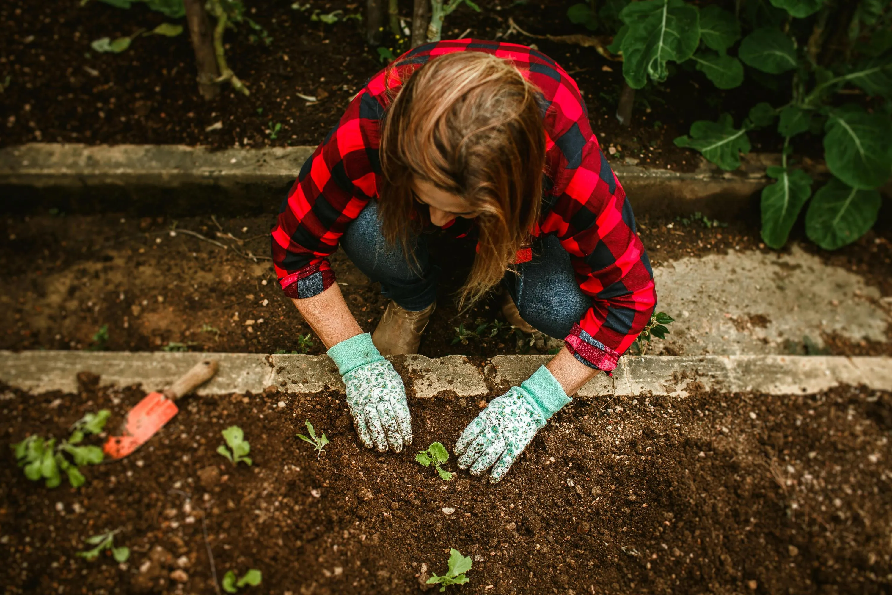 Деякі рослини ідеально підходять для квітневої посадки / Фото Pexels