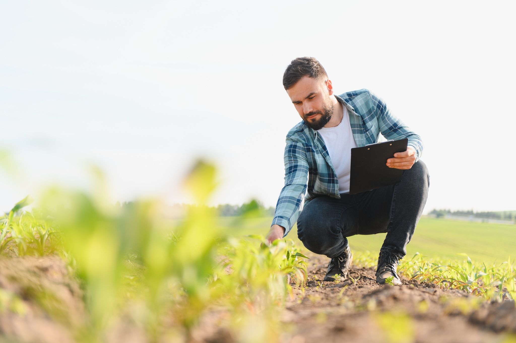 Как оформить огород