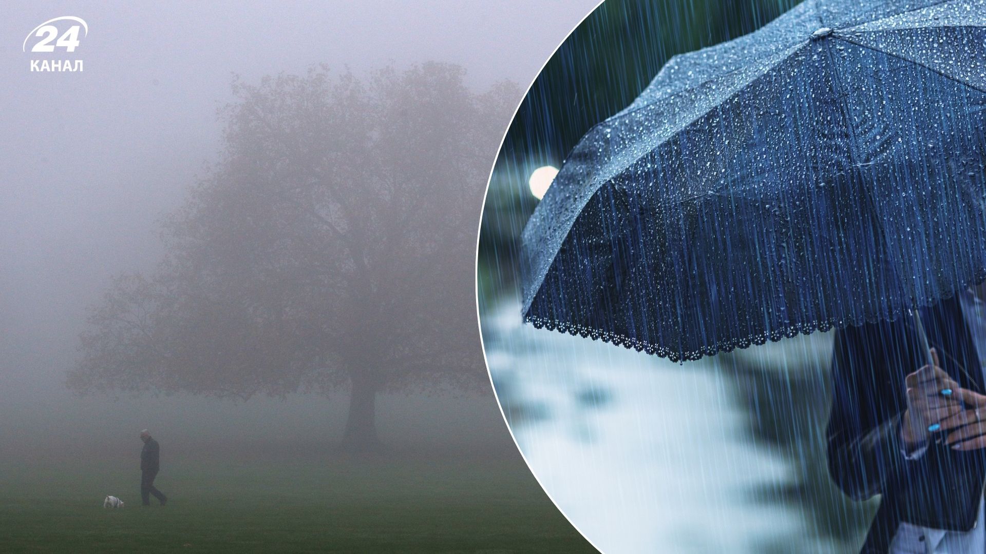 В Украине 3 апреля прогнозируют дождь и туман В Украине 3 апреля прогнозируют дождь и туман