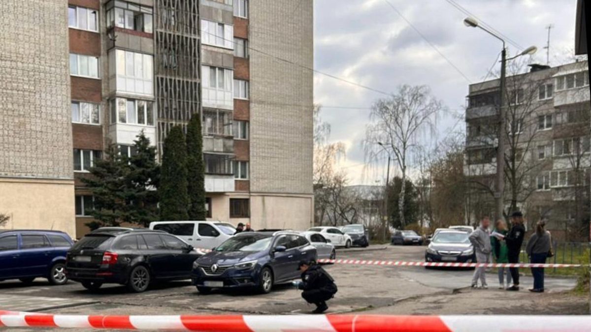 Во Львове убили военного ТЦК 2 апреля 2026 - нападавший задержан, где он работает
