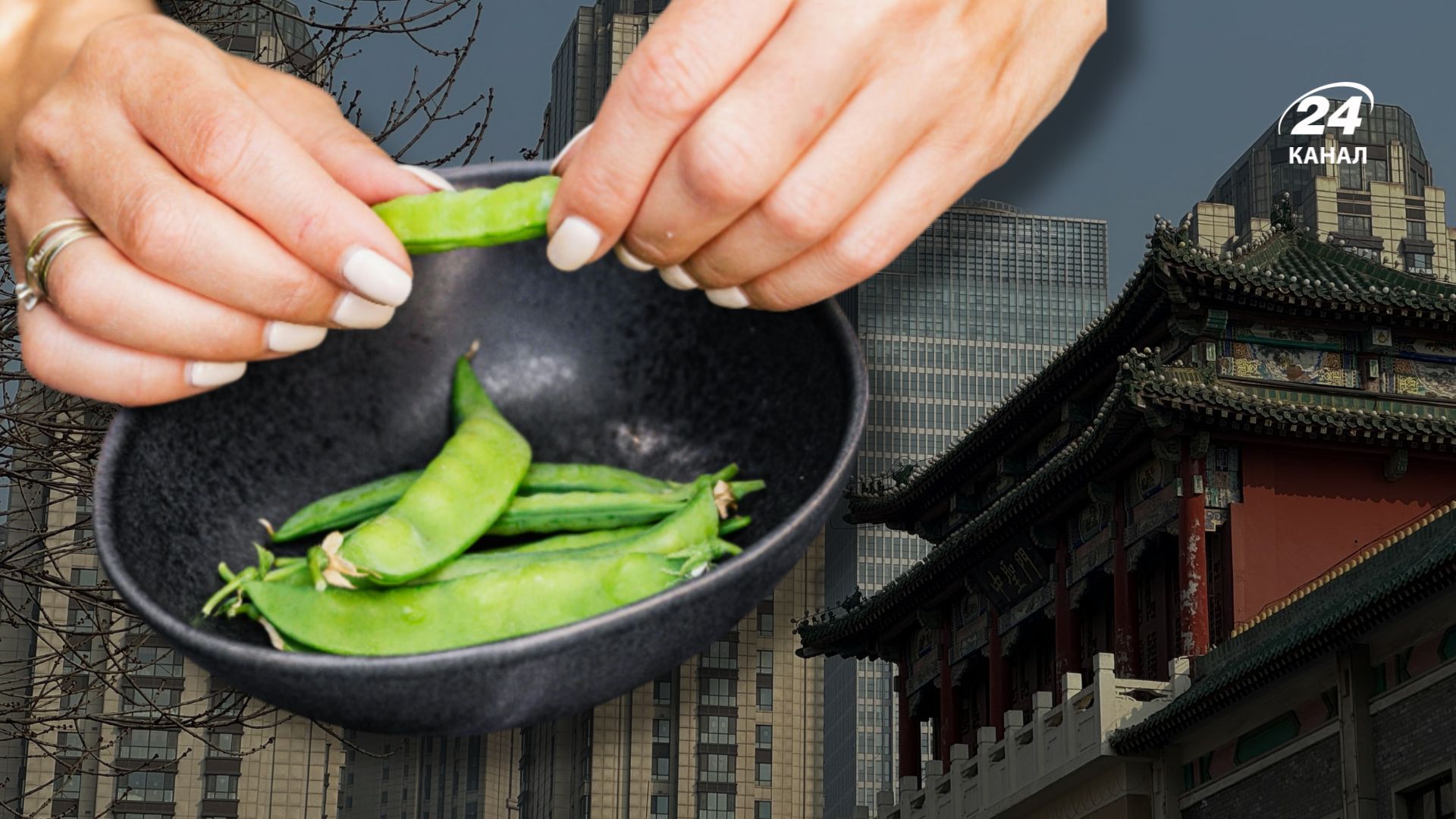 Украина готовится к первым поставкам гороха в Китай Украина готовится к первым поставкам гороха в Китай