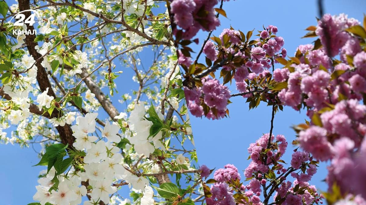 Погода зміниться наступного тижня