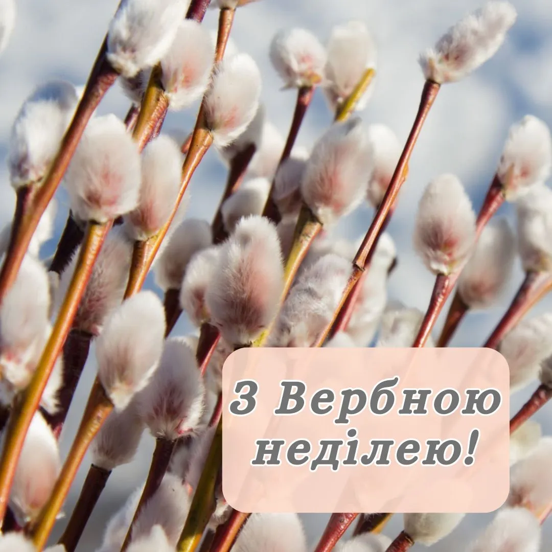 Привітання з Вербною неділею 2026 Привітання з Вербною неділею 2026