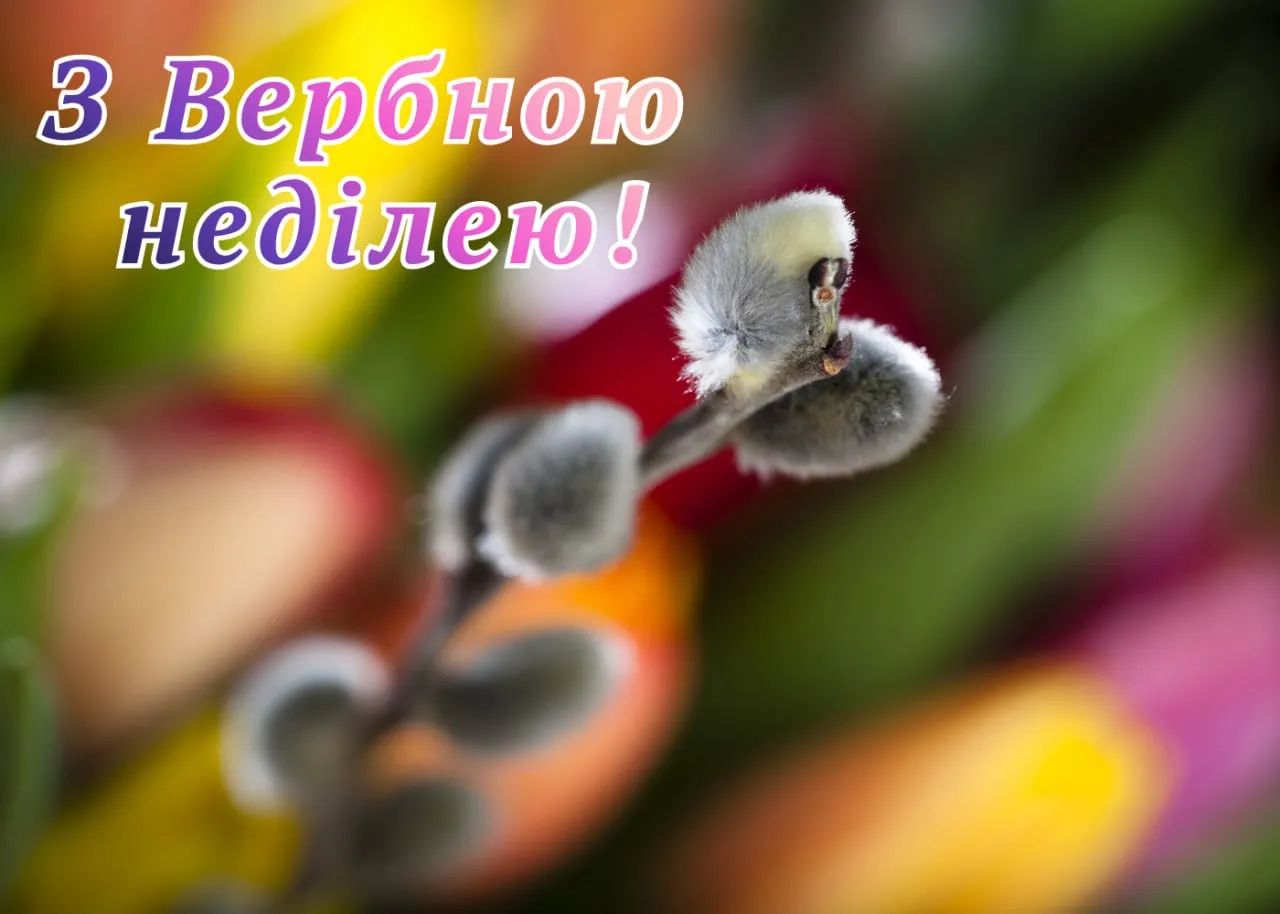 Привітання з Вербною неділею 2026