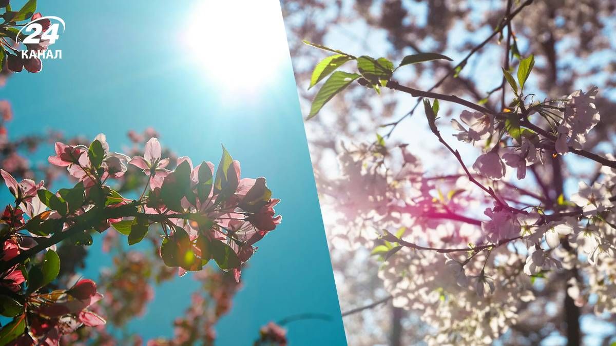 Потепління в квітні Потепління в квітні