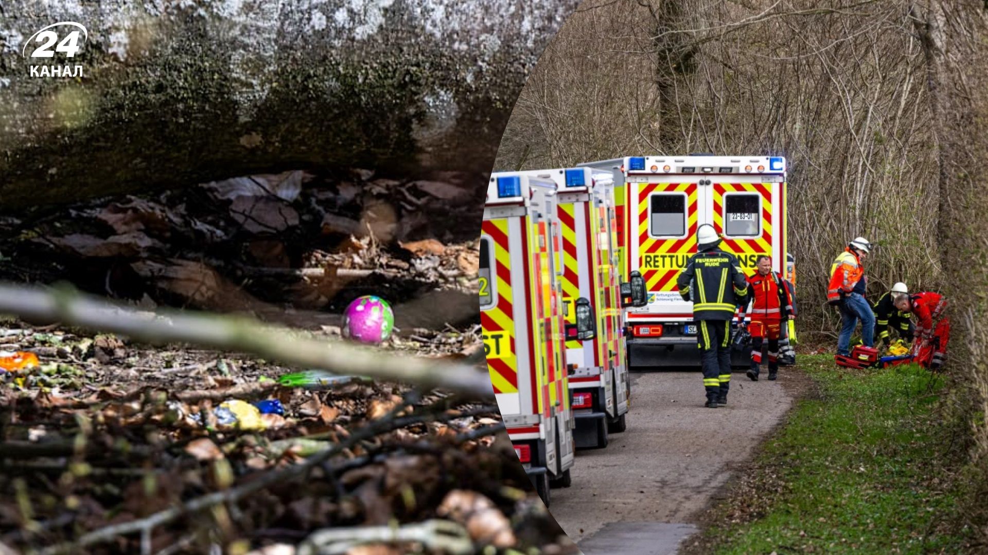 Трагедія в Німеччині: на групу людей, які шукали великодні яйця, впало дерево – є загиблі, серед - 24 Канал Трагедія в Німеччині: на групу людей, які шукали великодні яйця, впало дерево – є загиблі, серед - 24 Канал