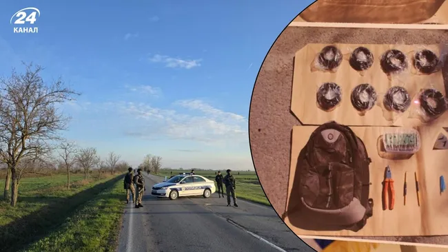 В Сербии отрицают "украинский след" в деле о диверсии на газопроводе в Венгрию