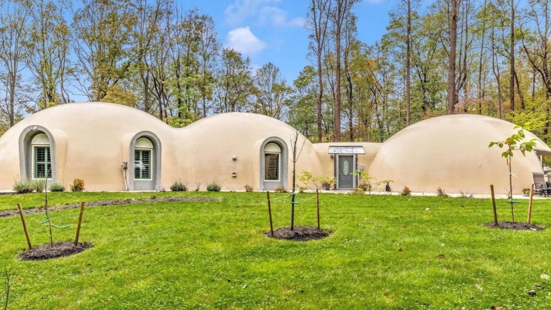 Необычный дом в США среди леса среди леса Необычный дом в США среди леса среди леса