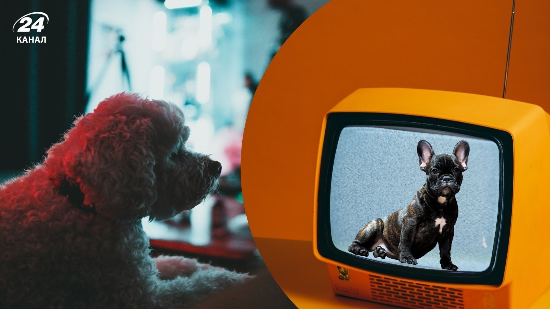 В Китае запустили необычный стриминг