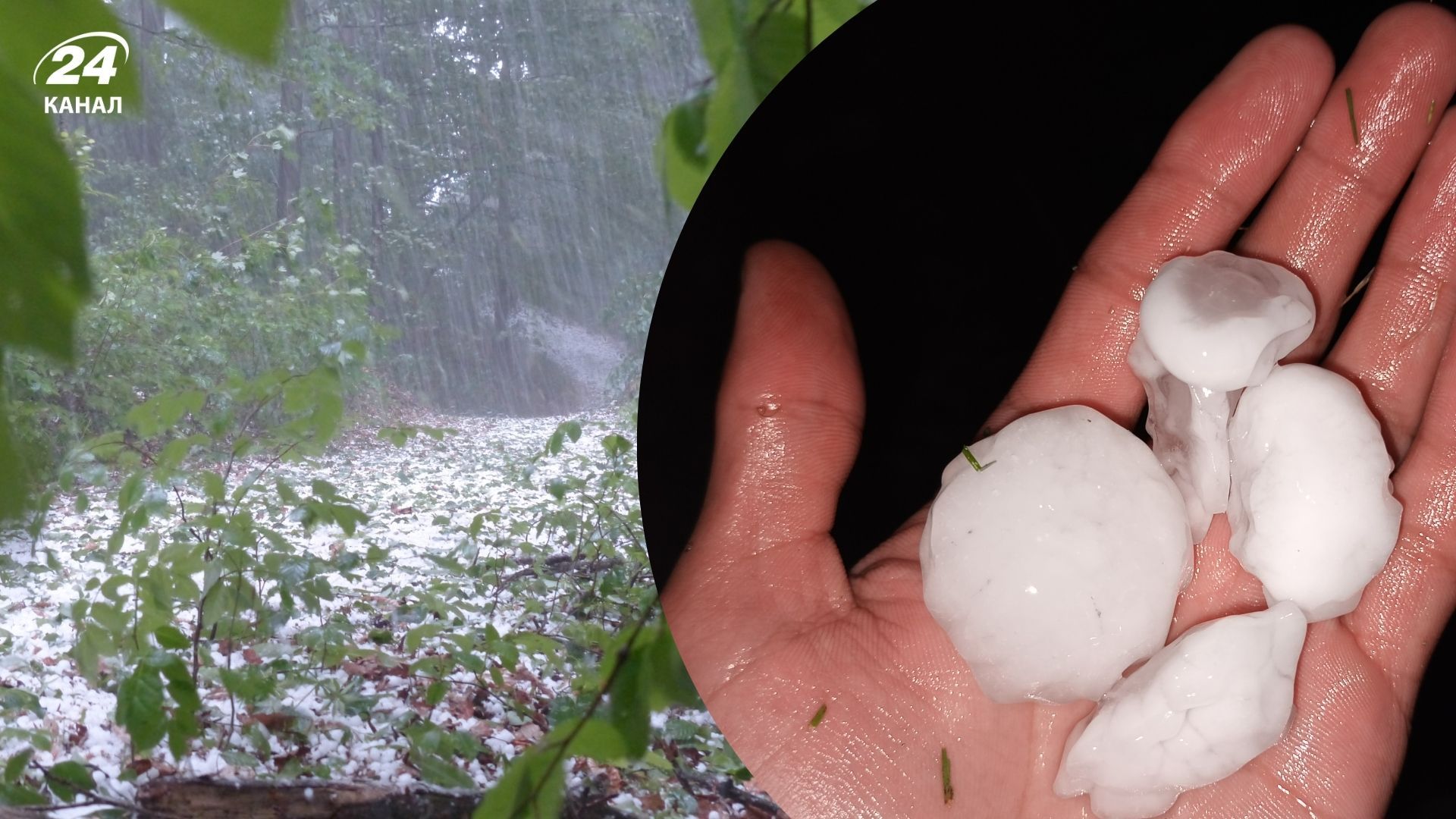 В Киеве сыплет град В Киеве сыплет град