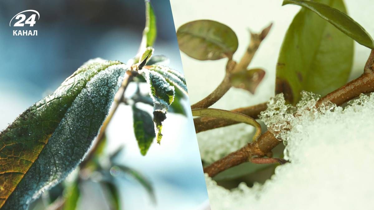 Припиненн опадів в Україні Припиненн опадів в Україні