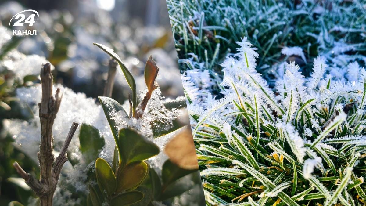 Погода в Україні