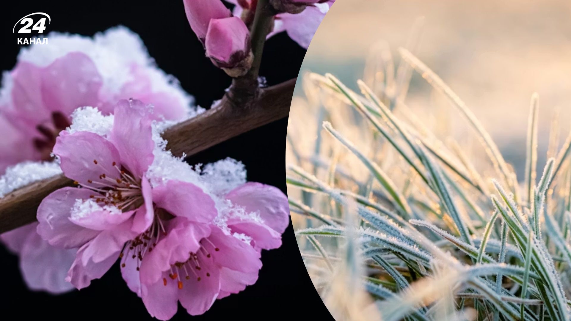 Серьезные заморозки накроют всю Украину: где и когда будет похолодание - 24 Канал