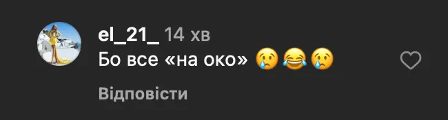 Украинцы в комментариях под видео Элли / скриншот из инстаграма