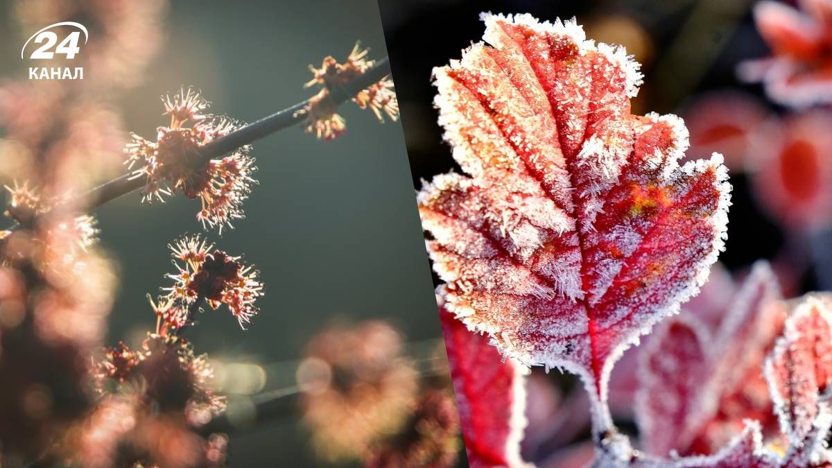 Прогноз погоды на субботу в Украине