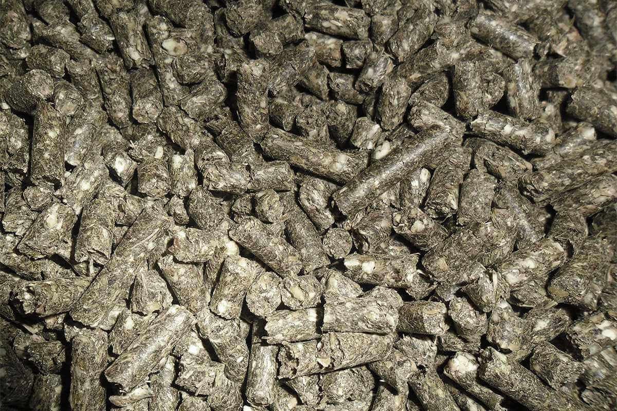 Подсолнечный шрот