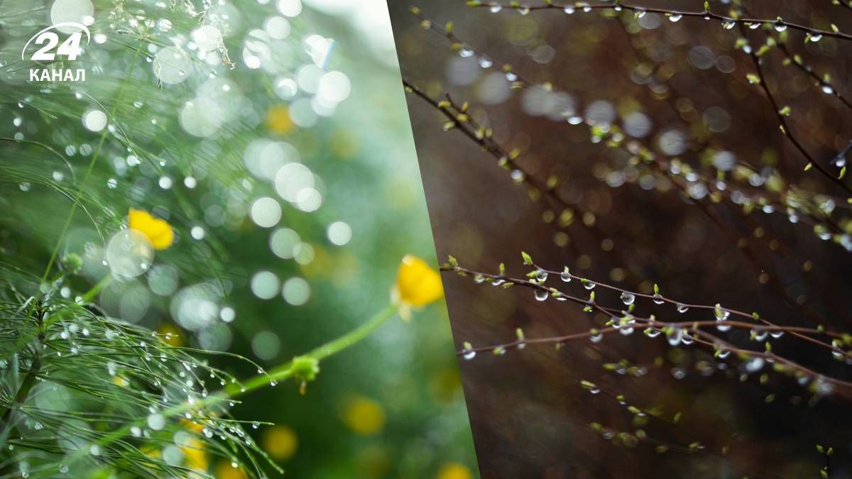 Прогноз погоды в Украине на ближайшие выходные Прогноз погоды в Украине на ближайшие выходные