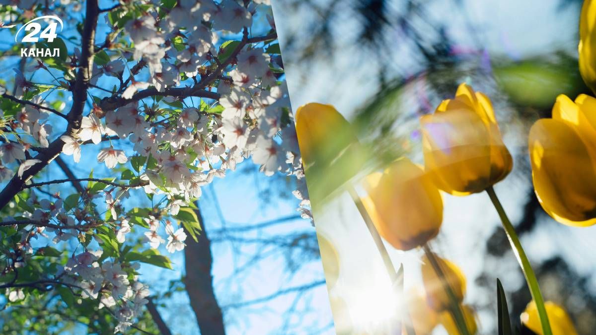 Улучшение погоды в Украине Улучшение погоды в Украине