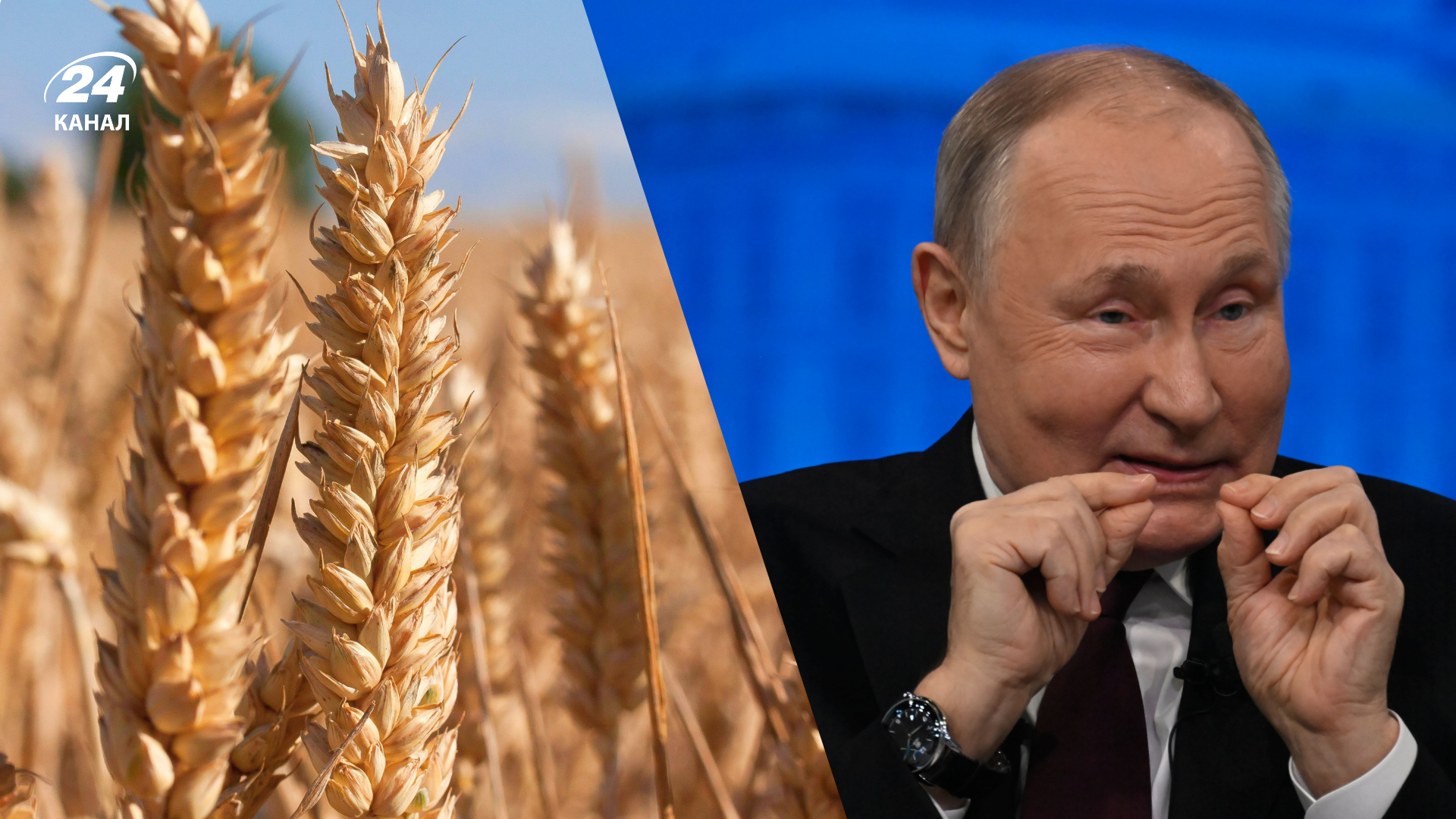Виживуть не всі: Росія урізає субсидії та б’є по аграріях - Агро 24