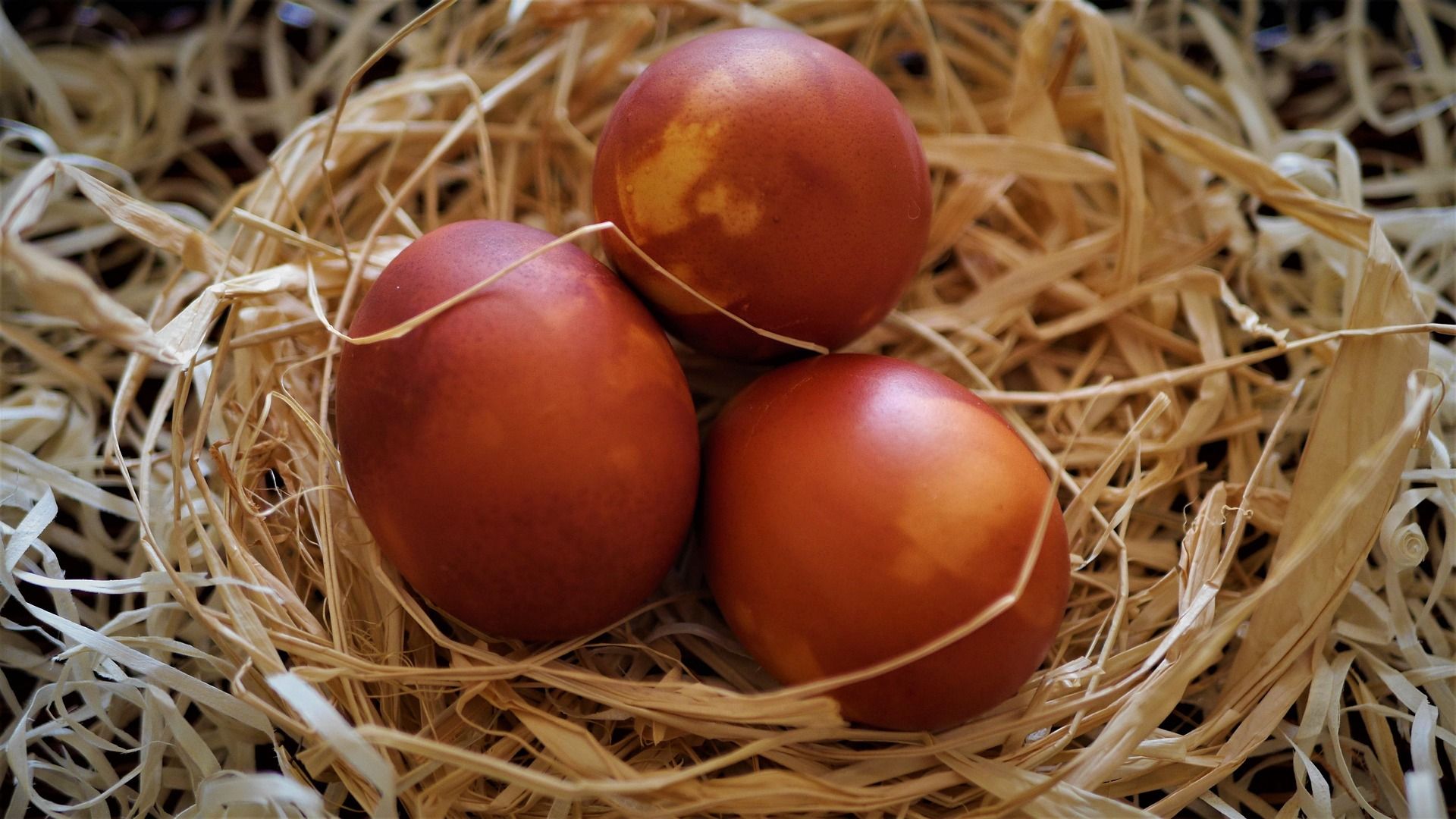 Сколько времени хранить вареные яйца Сколько времени хранить вареные яйца